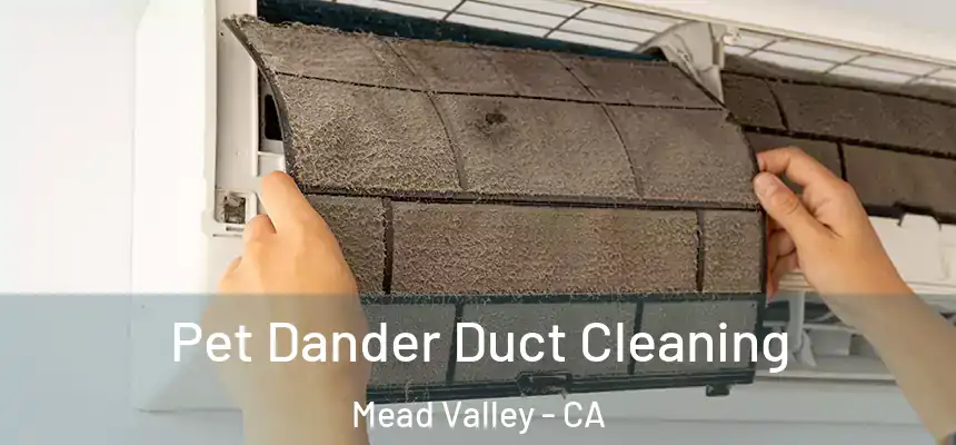 Pet Dander Duct Cleaning Mead Valley - CA