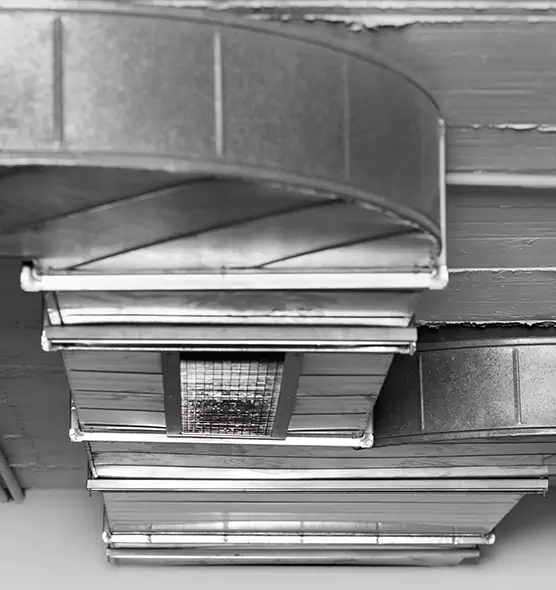 Professional Air Duct Pest Removal in Mead Valley, CA